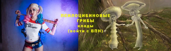 МДПВ Армянск