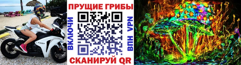 Галлюциногенные грибы Cubensis как найти наркотики Озёрск